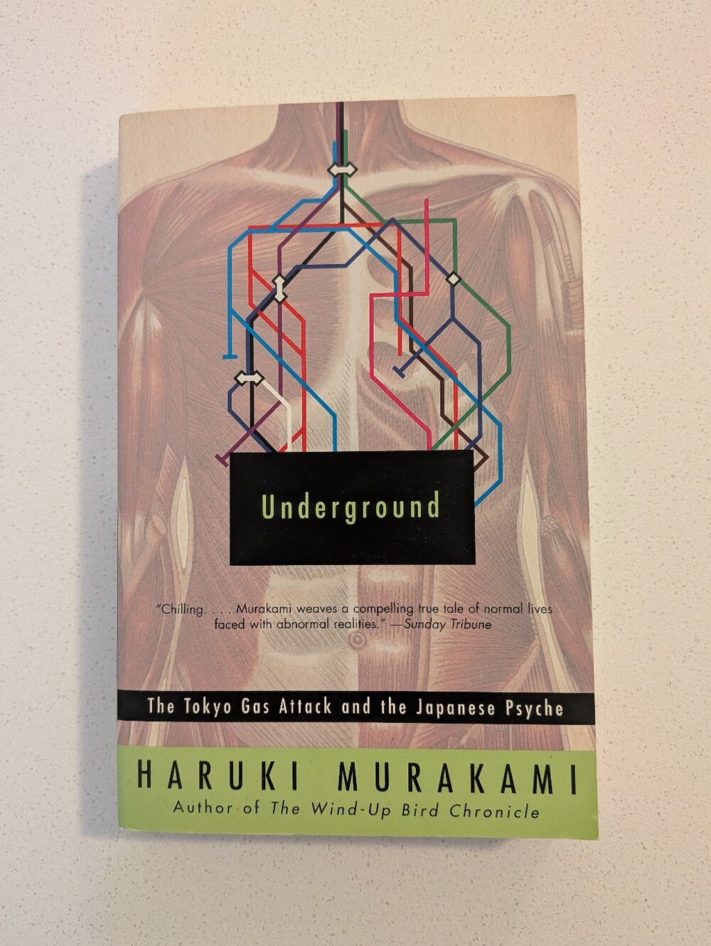 ⭐  Underground by Haruki Murakami